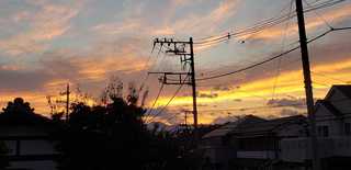 200813夕焼け.jpg