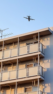 20200318_013007.jpg
