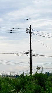 20200630_114155.jpg