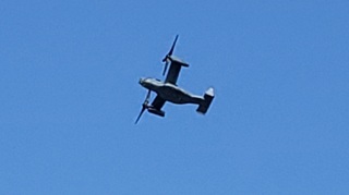 20200829_015152.jpg
