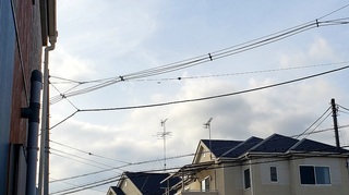 20220331_010048.jpg
