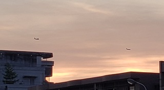20220629_202029.jpg