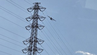 20250219_103651.jpg