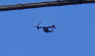 20250224_143017.jpg
