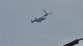 20250411_165950.jpg