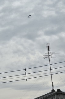 20250518_110932.jpg