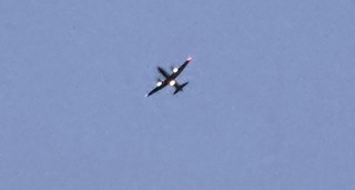 20250618_191937.jpg