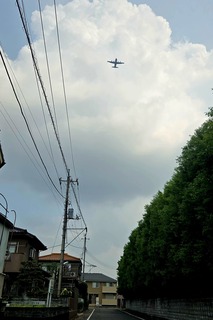20250703_091410.jpg