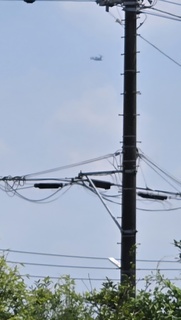 20250723_115343.jpg