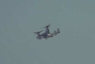 DSC00236.JPG