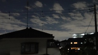 DSC02305.JPG