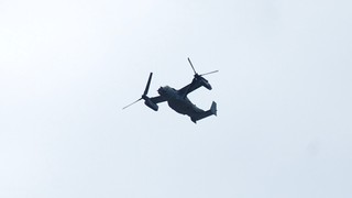DSC_0005.JPG