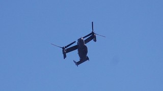 DSC_0035.JPG