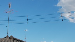 DSC_0062.JPG