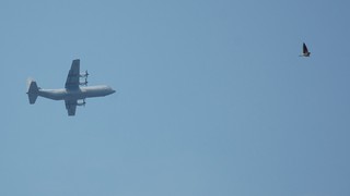 DSC_0083.JPG