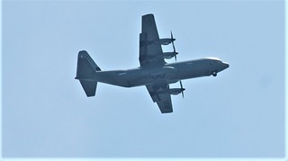 DSC_0085.JPG