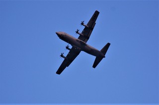 DSC_0098.JPG