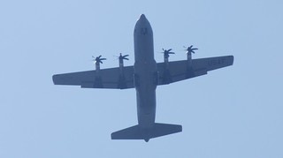 DSC_0101.JPG