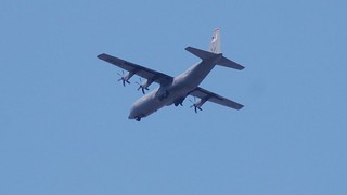 DSC_0105.JPG