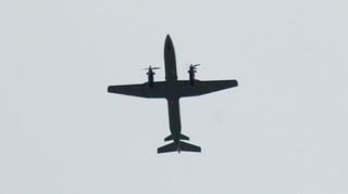 DSC_0117.JPG
