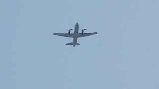 DSC_0130.JPG