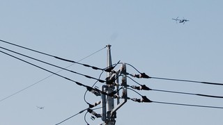 DSC_0135.JPG