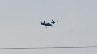 DSC_0141.JPG