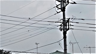 DSC_0147.JPG