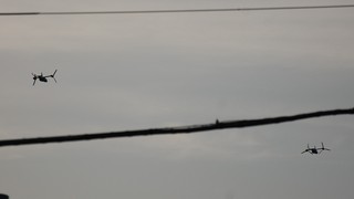 DSC_0147.JPG