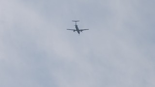 DSC_0147.JPG