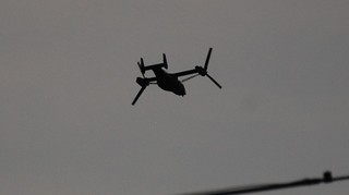 DSC_0151.JPG