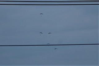 DSC_0155.JPG
