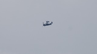 DSC_0169.JPG