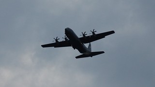 DSC_0175.JPG