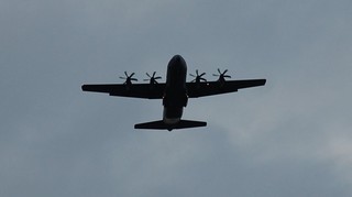 DSC_0178.JPG