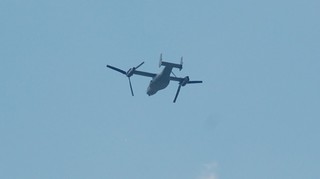 DSC_0179.JPG