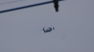 DSC_0182.JPG