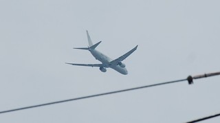DSC_0210.JPG