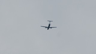 DSC_0236.JPG
