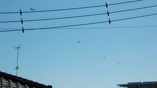 DSC_0240.JPG