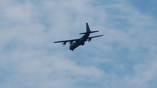 DSC_0262.JPG