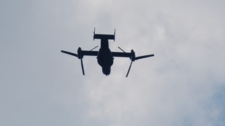 DSC_0288.JPG