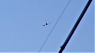DSC_0292.JPG