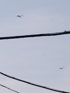 DSC_0298.JPG