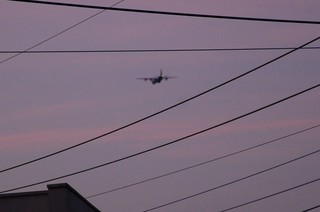 DSC_0298.JPG