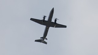 DSC_0306.JPG
