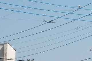 DSC_0309.JPG