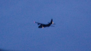 DSC_0312.JPG