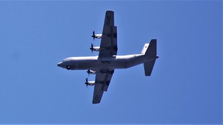 DSC_0313.JPG