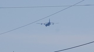 DSC_0322.JPG